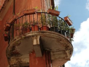 IMG_20180930_093414_resized_20180930_101249576