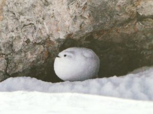 WhatsApp Image 2019-11-04 at 12.58.43