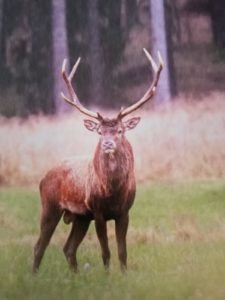 WhatsApp Image 2019-11-07 at 10.17.06